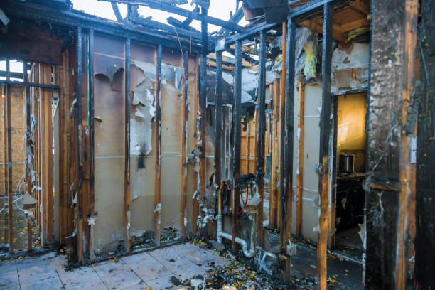 Professional Soot Cleanup technician working in Meadow Vale, KY